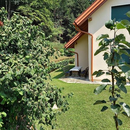 Ferienhaus Manuela Velden am Woerthersee Ngoại thất bức ảnh